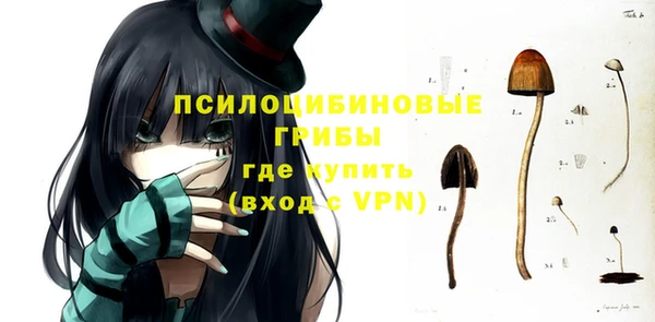 PSILOCYBIN Нея