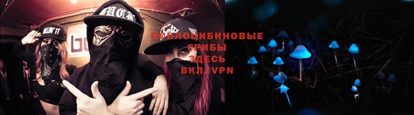 СК Нефтегорск