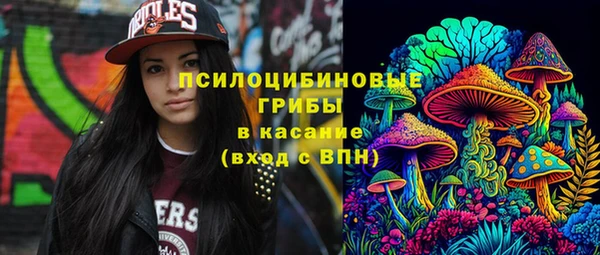 PSILOCYBIN Нея
