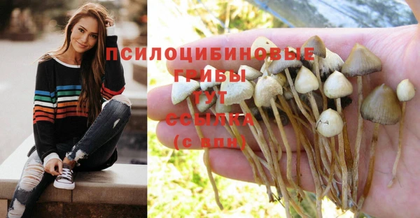 PSILOCYBIN Нея