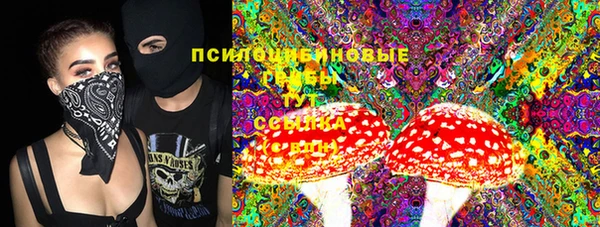 PSILOCYBIN Нея