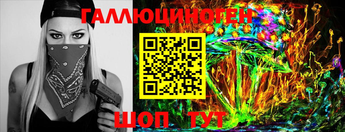 Галлюциногенные грибы Psilocybe Реутов