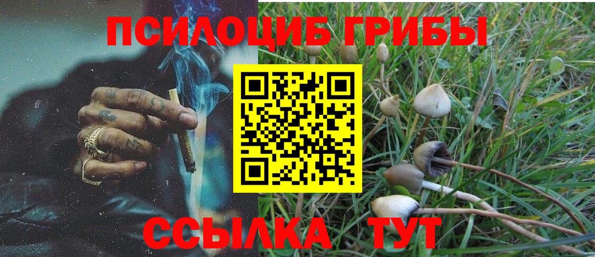 Галлюциногенные грибы Psilocybine cubensis  Вход с VPN  Галлюциногенные грибы мицелий  Реутов 
